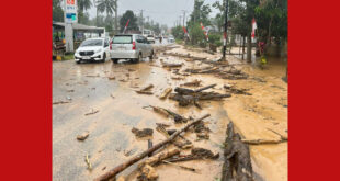 Wajah Jalan Desa Bakan akibat dari Dampak Banjir Bandang dan Longsoran Batu Matrial/Kayu Besar dari Lokasi Pertambangan Site Bakan PT. J'Resources.